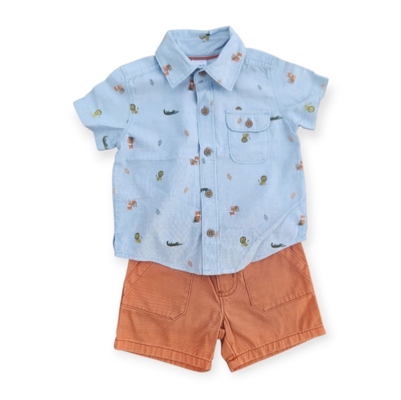 2-Piece Carter's Baby Kids Light Blue Shirt Orange Shorts SetSize 12 Months - Picture 1 of 14